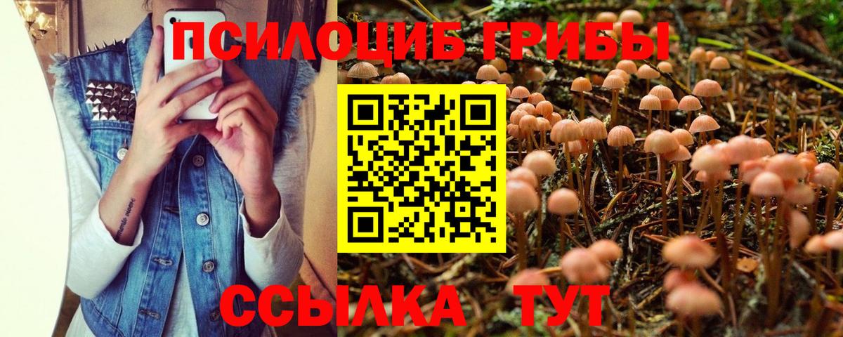 Псилоцибиновые грибы прущие грибы Соликамск