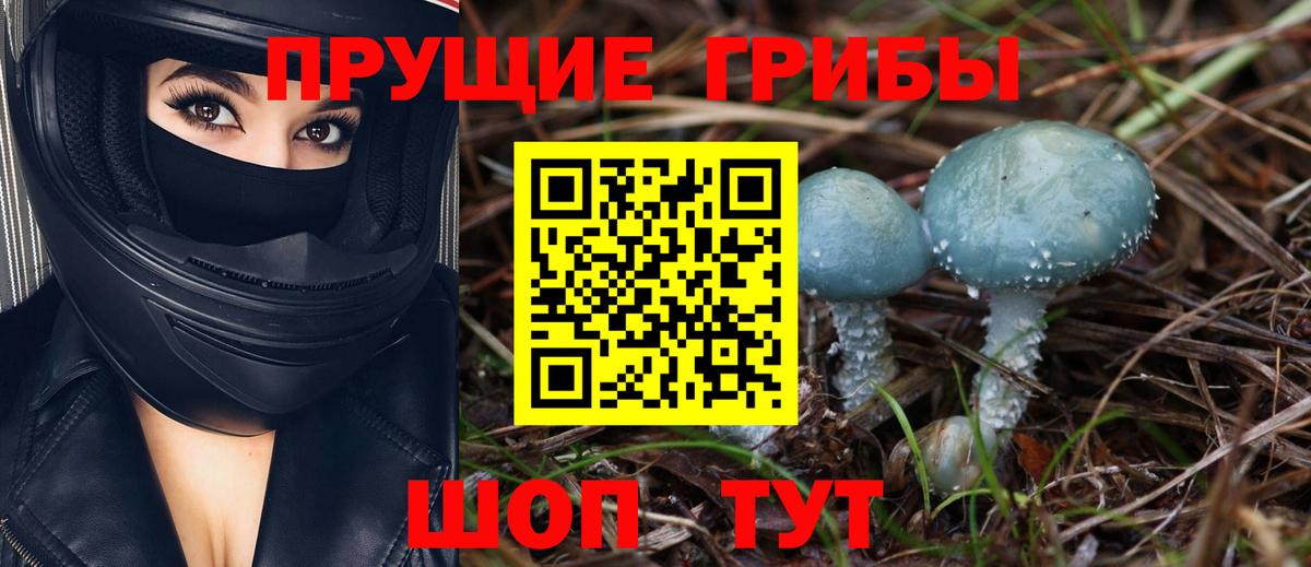 Галлюциногенные грибы Psilocybine cubensis  Вход с VPN  купить наркотик  Соликамск 